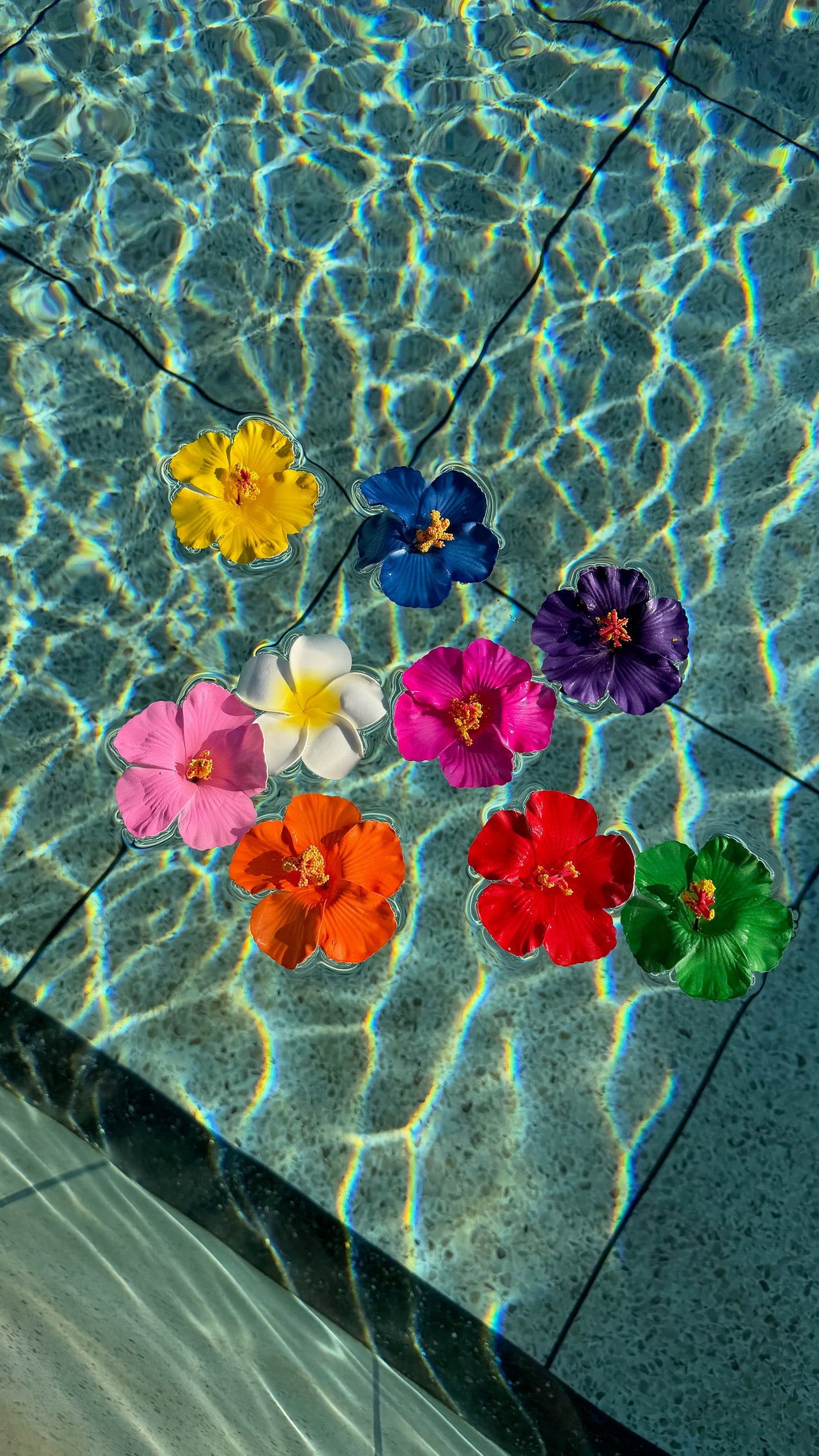 Pinces fleurs DS.Sélection