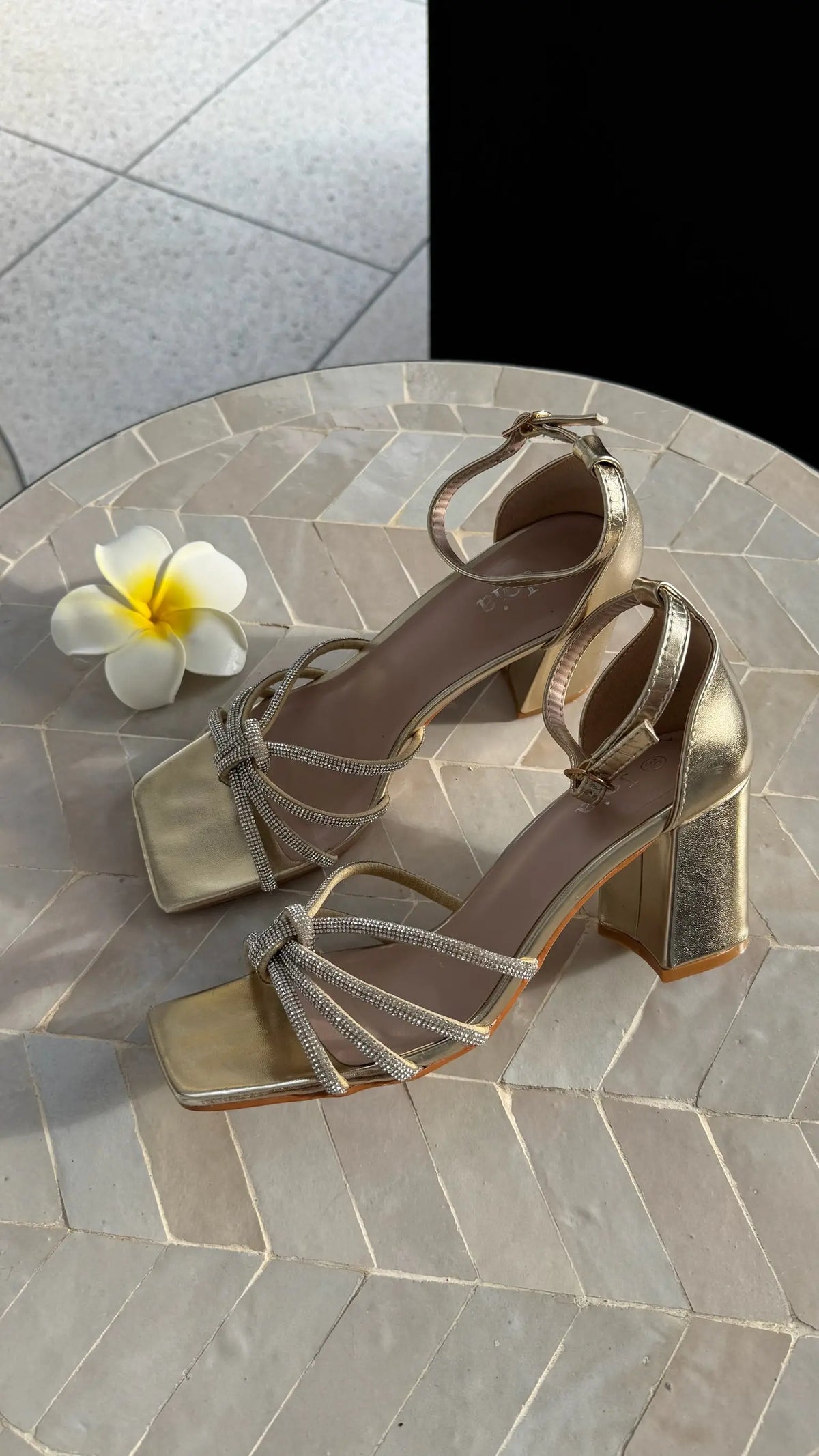 Talons dorés DS.Sélection