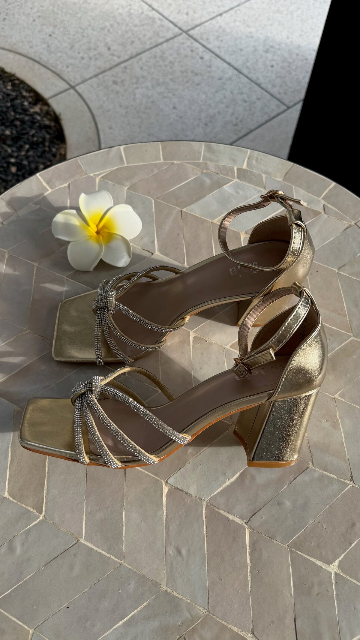 Talons dorés DS.Sélection