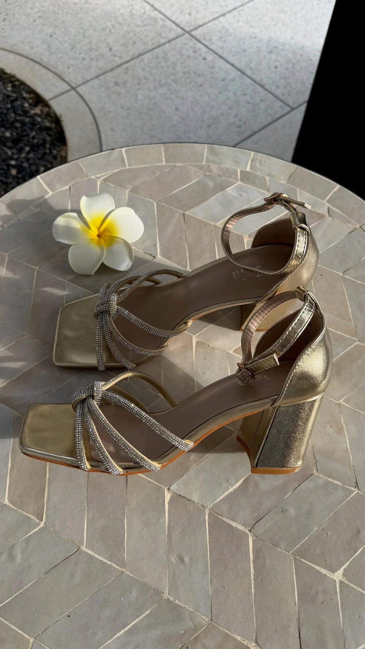 Talons dorés DS.Sélection